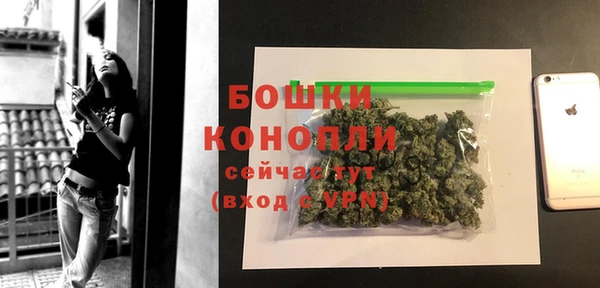 сатива Армянск