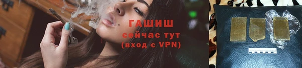 сатива Армянск