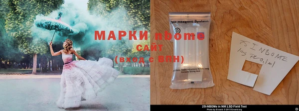 сатива Армянск